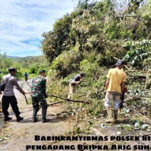 Bersama Warga, Bhabinkamtibmas Bersihkan Pohon Tumbang di Jalan Raya