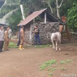 Bhabinkamtibmas Polsek Pino Raya Dampingi Dinas Peternakan Cegah Penyakit Menular Hewan Ternak di desa Binaan