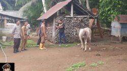 Bhabinkamtibmas Polsek Pino Raya Dampingi Dinas Peternakan Cegah Penyakit Menular Hewan Ternak di desa Binaan